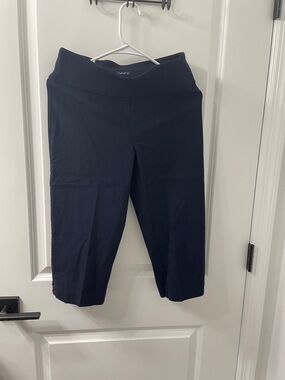 Counterparts Navy Blue Cropped Ponte Pants